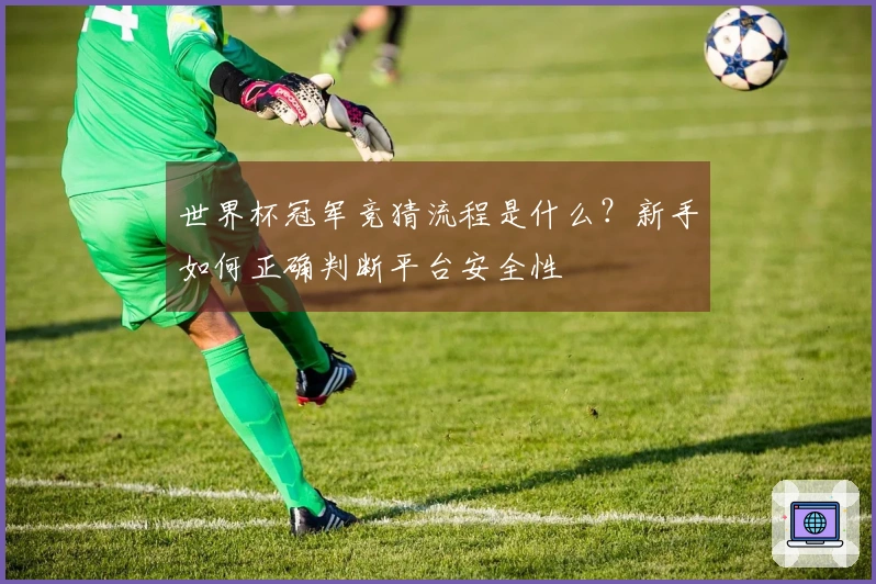 世界杯冠军竞猜流程是什么?新手如何正确判断平台安全性