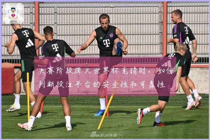 决赛阶段烽火世界杯竞猜时，如何判断投注平台的安全性和可靠性