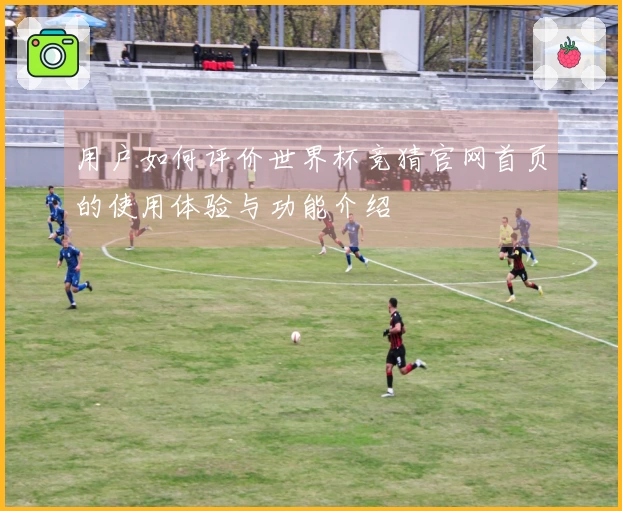 用户如何评价世界杯竞猜官网首页的使用体验与功能介绍
