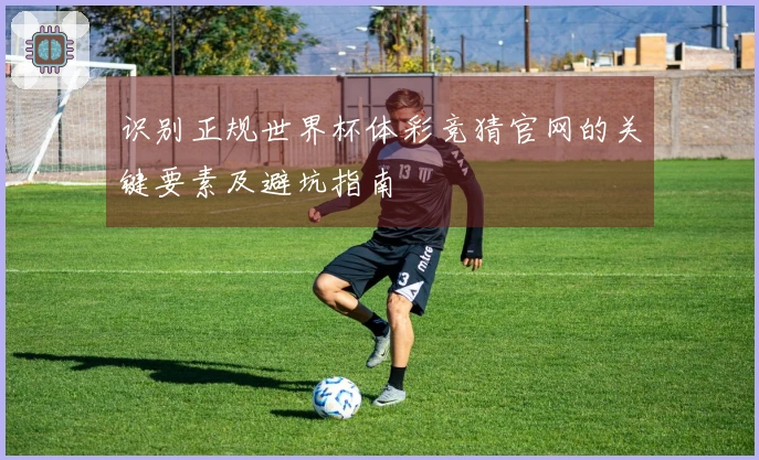 识别正规世界杯体彩竞猜官网的关键要素及避坑指南