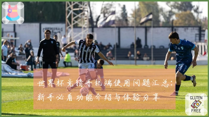 世界杯竞猜手机端使用问题汇总：新手必看功能介绍与体验分享
