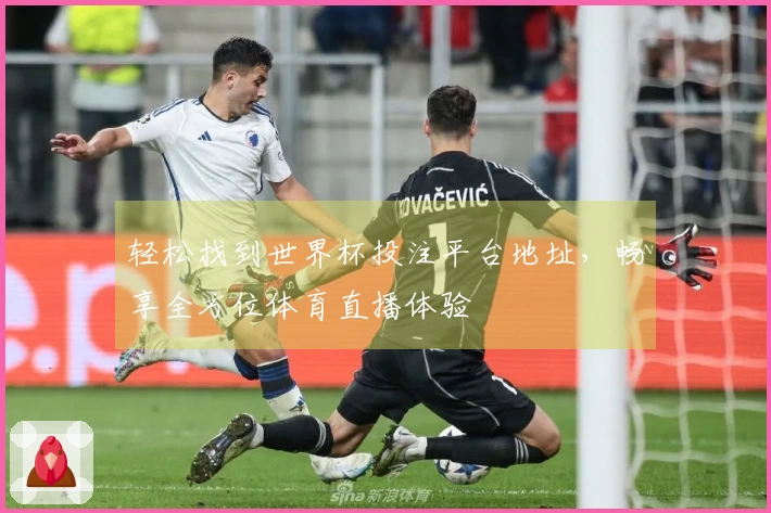 轻松找到世界杯投注平台地址，畅享全方位体育直播体验