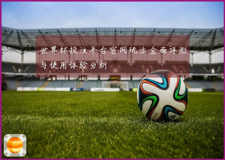 世界杯投注平台官网玩法全面评测与使用体验分析