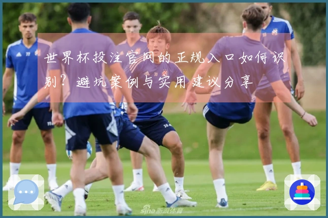世界杯投注官网的正规入口如何识别？避坑案例与实用建议分享