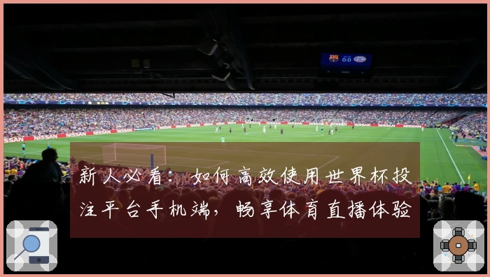 新人必看：如何高效使用世界杯投注平台手机端，畅享体育直播体验