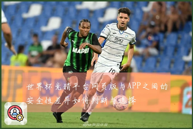 世界杯竞猜平台网页版与APP之间的安全性差异如何判断与选择