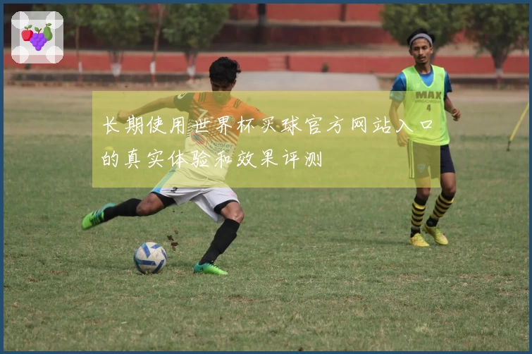 长期使用世界杯买球官方网站入口的真实体验和效果评测